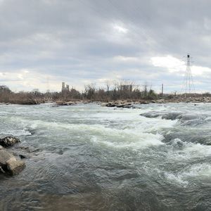 Meet your Posher, Everett